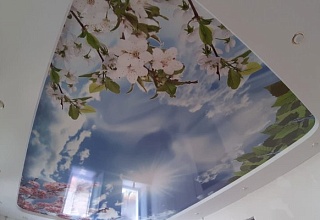 Готовых натяжных потолков с фотопечатью