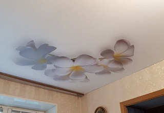 Примеры работ