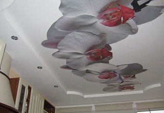Готовых натяжных потолков с фотопечатью
