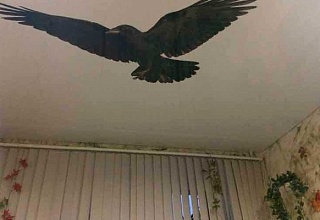 Готовых натяжных потолков с фотопечатью